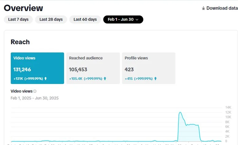 Video views 131,246 analytics